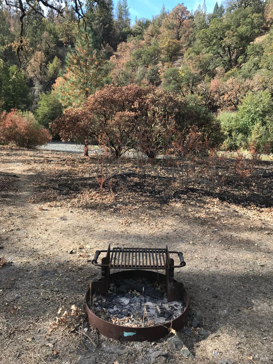 2168 Bear Creek Road Upper Lake, CA 95485 - Photo 8 of 16 a view of a dry yard
