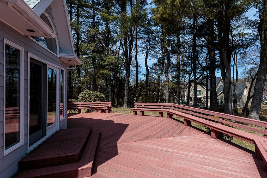 11 Woodfall Road Belmont, MA 02478 - Photo 9 of 26 a outdoor space with lounge chair and trees