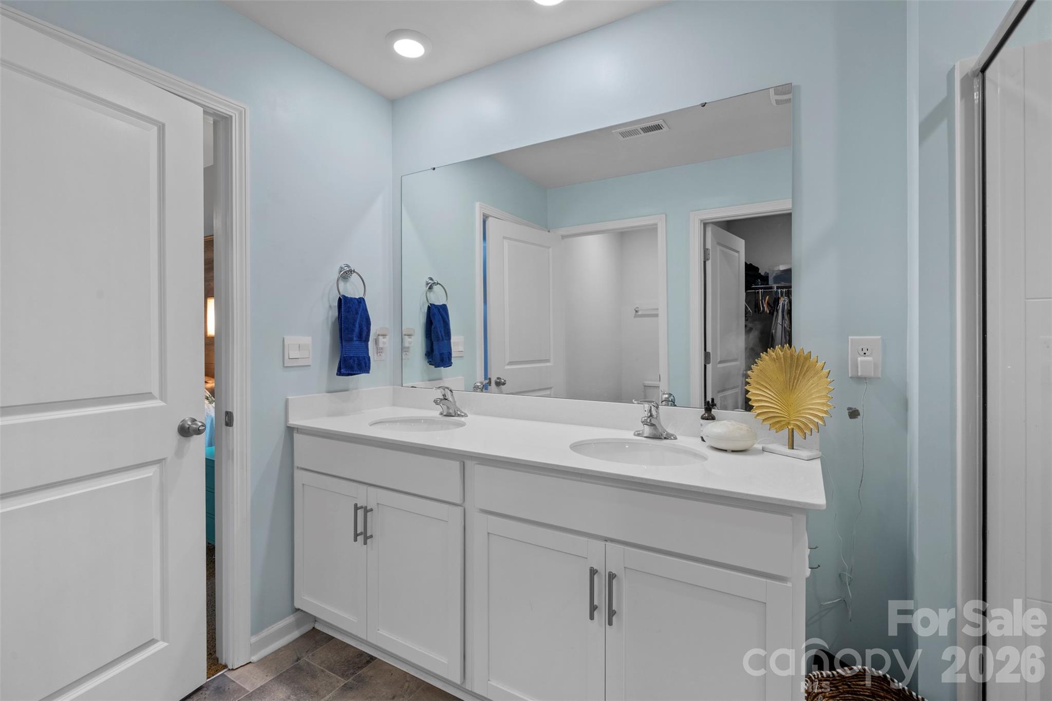 225 Final Stretch Lane Clover, SC 29710 - Photo 25 of 39 a bathroom with a sink and a mirror