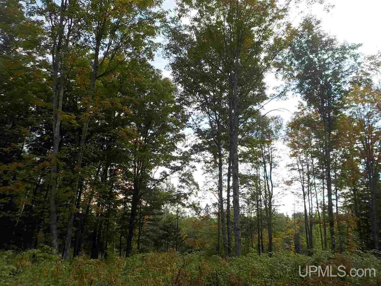 80-ac Mcclaren Road Crystal Falls, MI 49920 - Photo 12 of 27