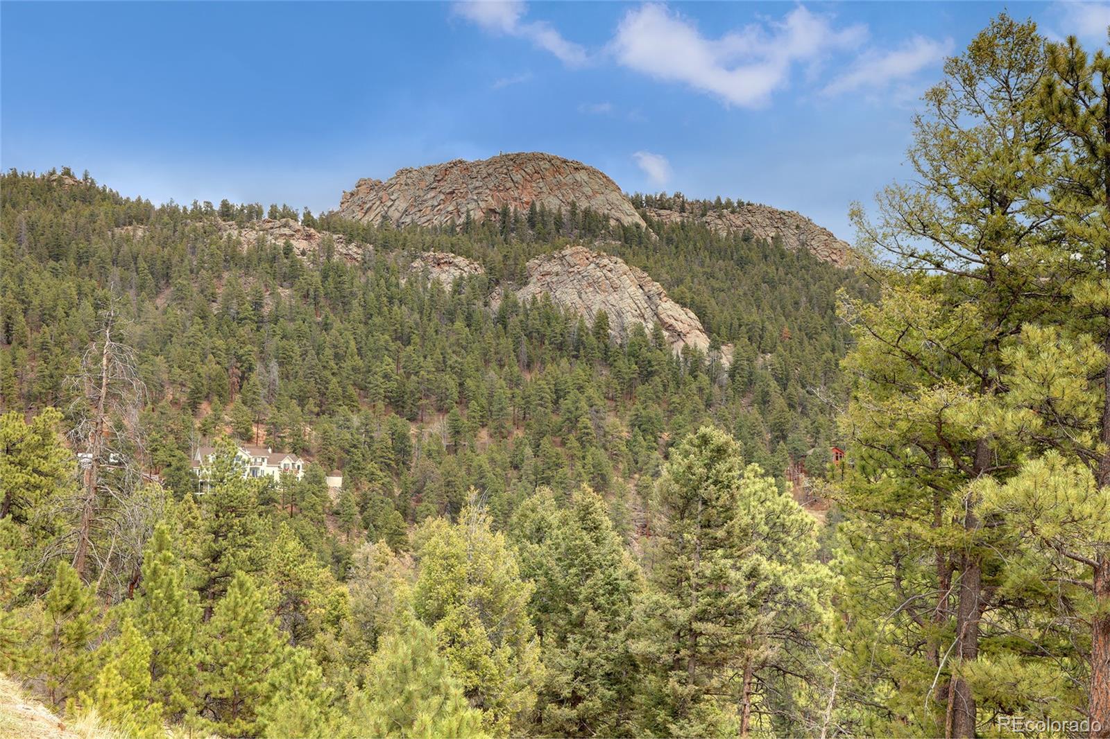 12501 Callae Drive Conifer, CO 80433 - Photo 39 of 44