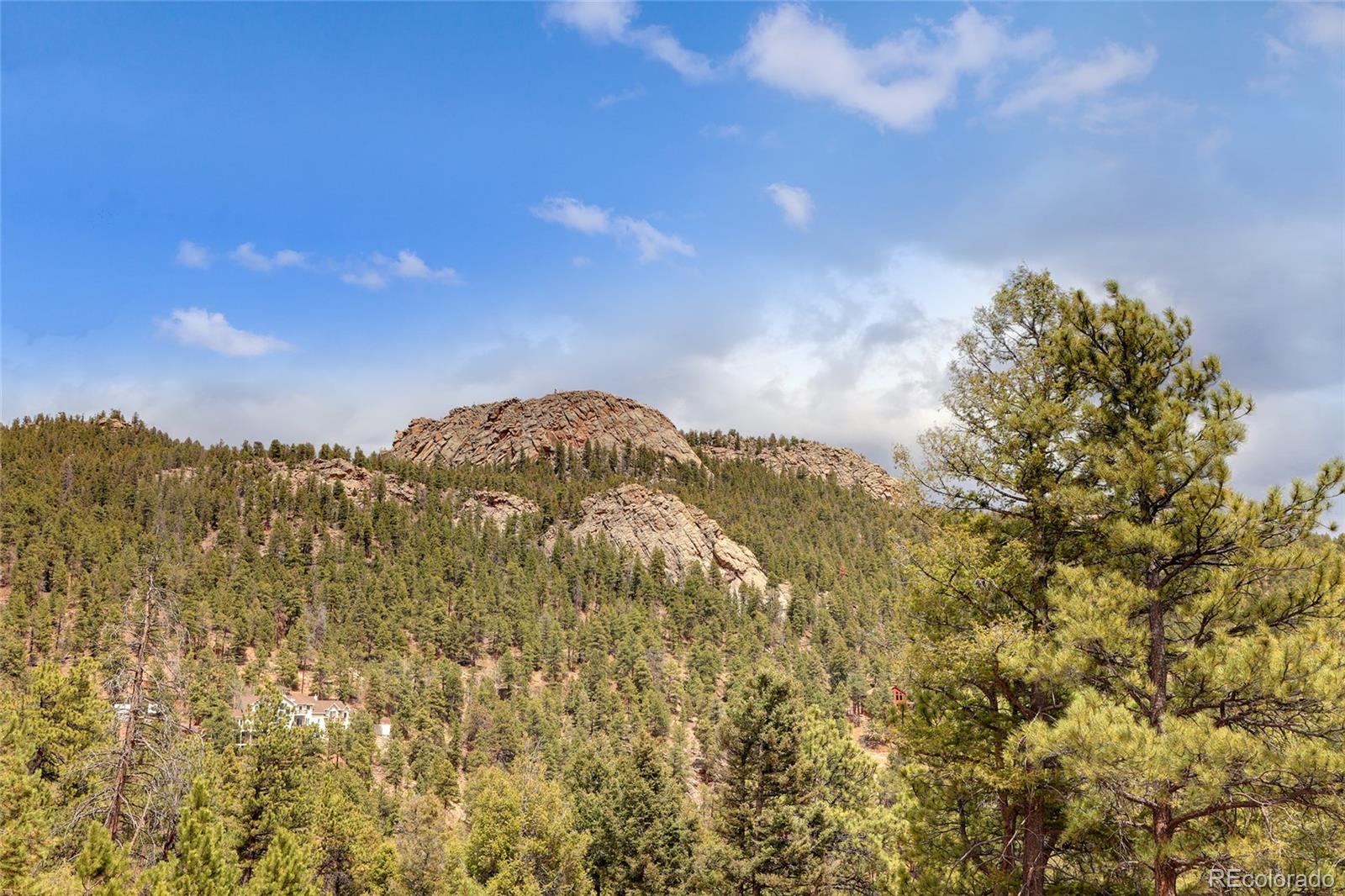 12501 Callae Drive Conifer, CO 80433 - Photo 42 of 44