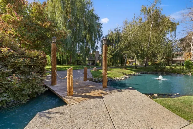 a view of a park with large trees