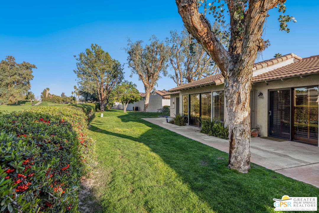 6090 East Driver Road Palm Springs, CA 92264 - Photo 10 of 29 a view of a house with backyard and a tree