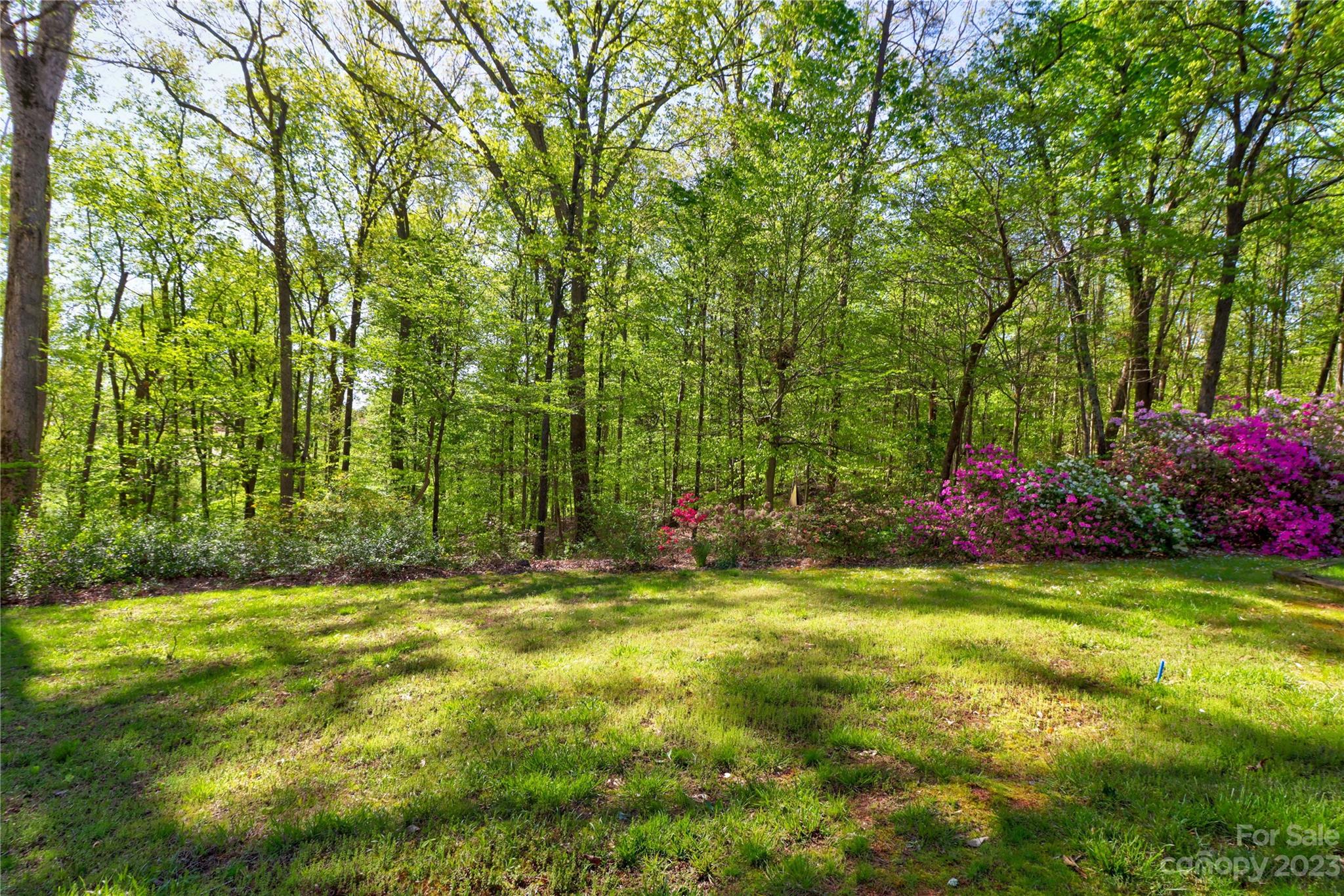 802 Fieldstone Road Mooresville, NC 28115 - Photo 46 of 47 a view of outdoor space with deck and yard