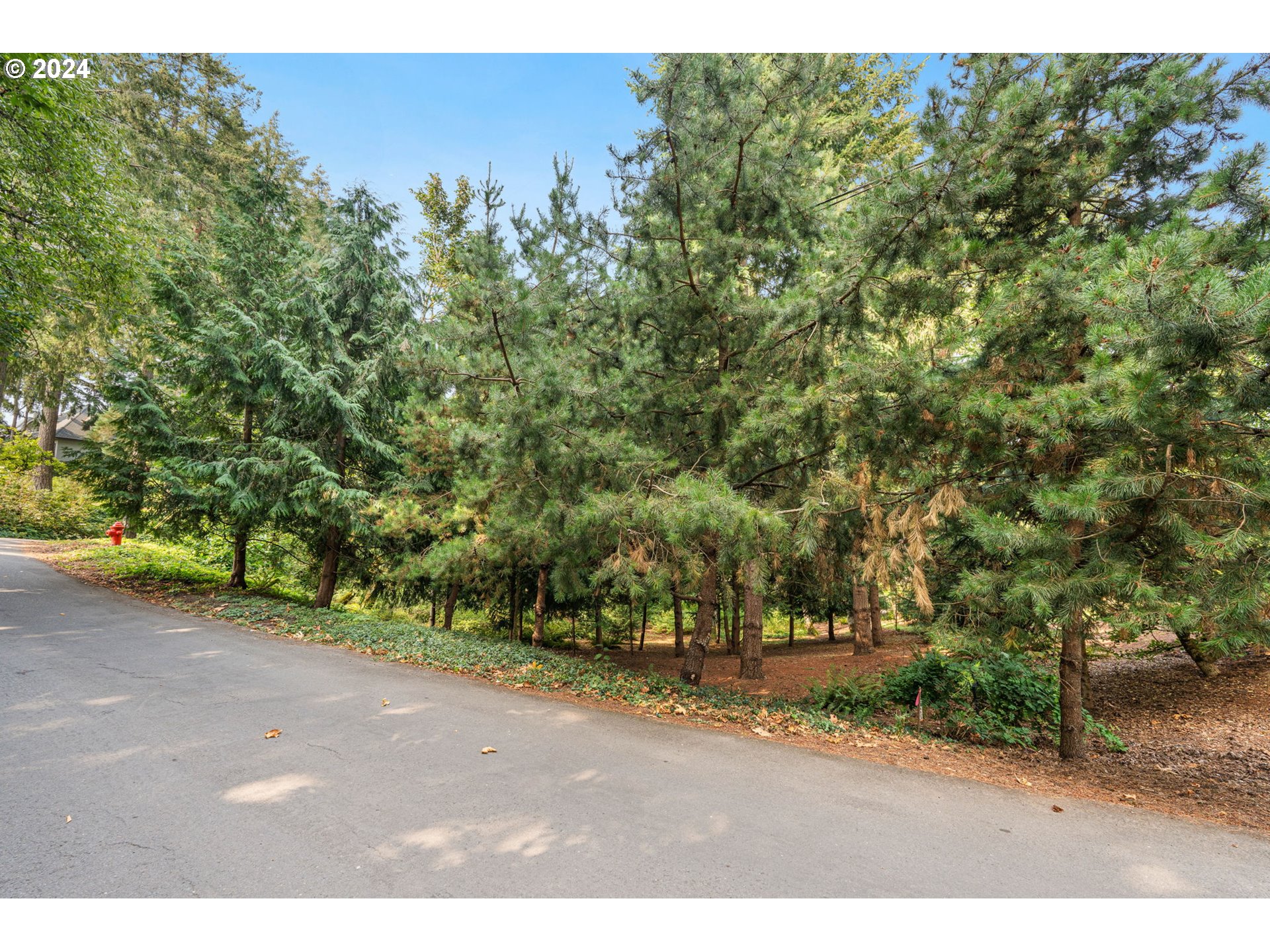 2217 Prestwick Road Lake Oswego, OR 97034 - Photo 3 of 10