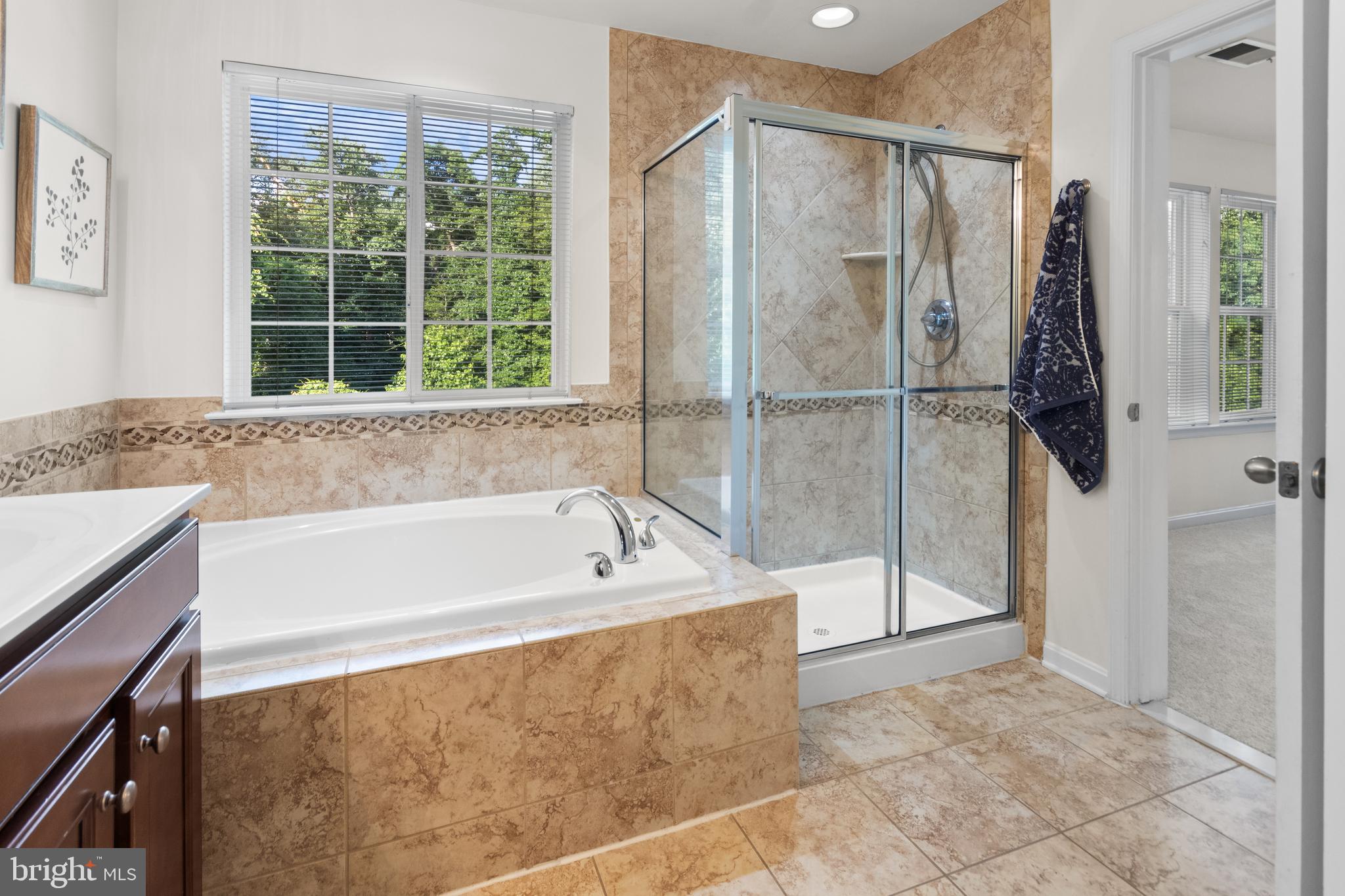 633 Old Waugh Chapel Road Odenton, MD 21113 - Photo 17 of 37 Primary bath gas shower AND tub!