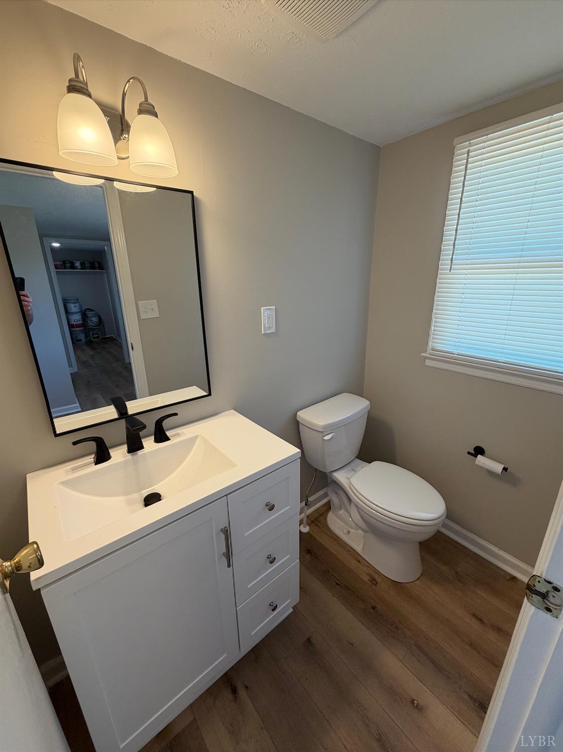 127 Campbell Street Madison Heights, VA 24572 - Photo 12 of 28 a bathroom with a toilet sink and mirror