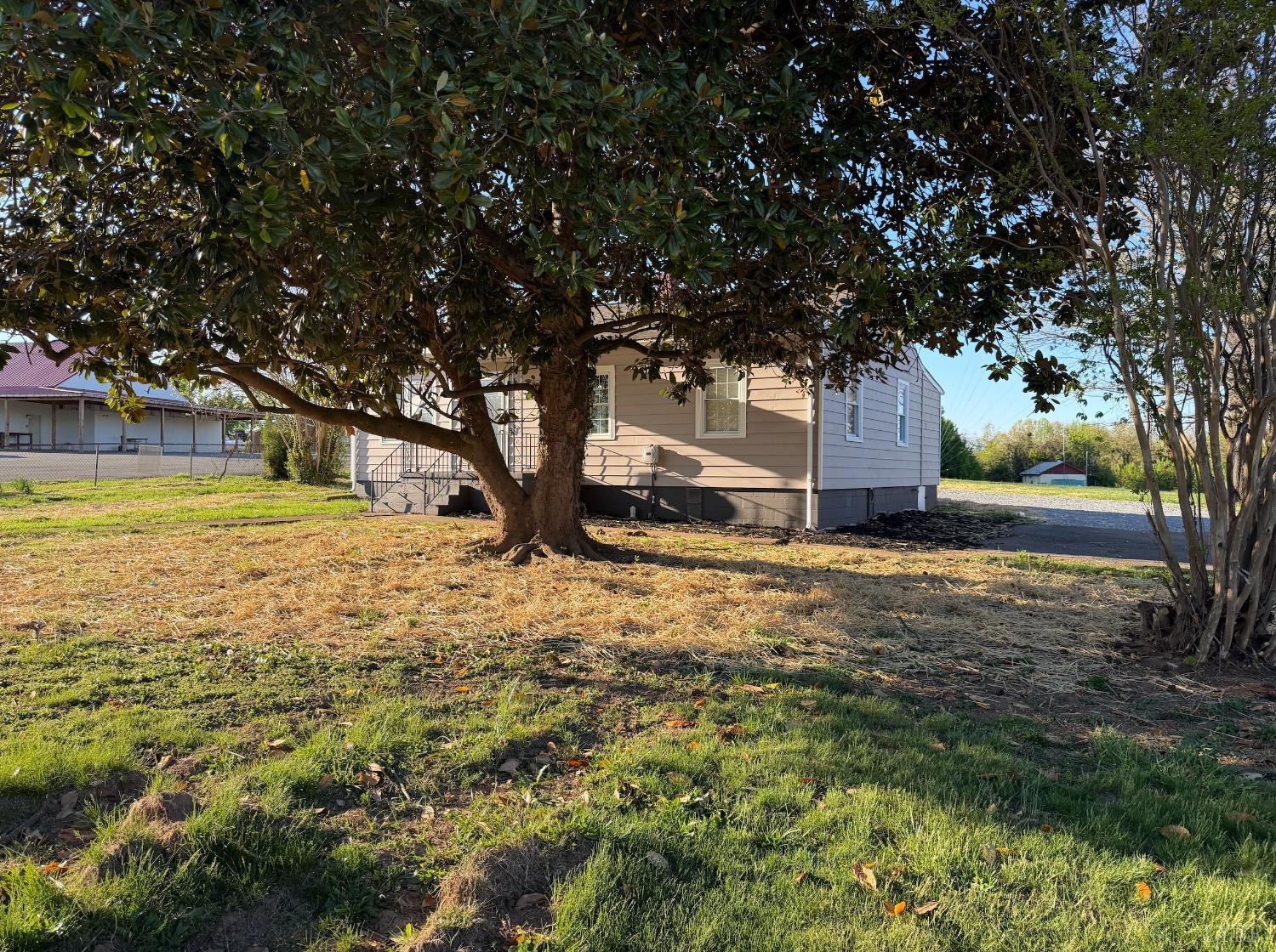 127 Campbell Street Madison Heights, VA 24572 - Photo 20 of 28 a view of yard with tree in the background