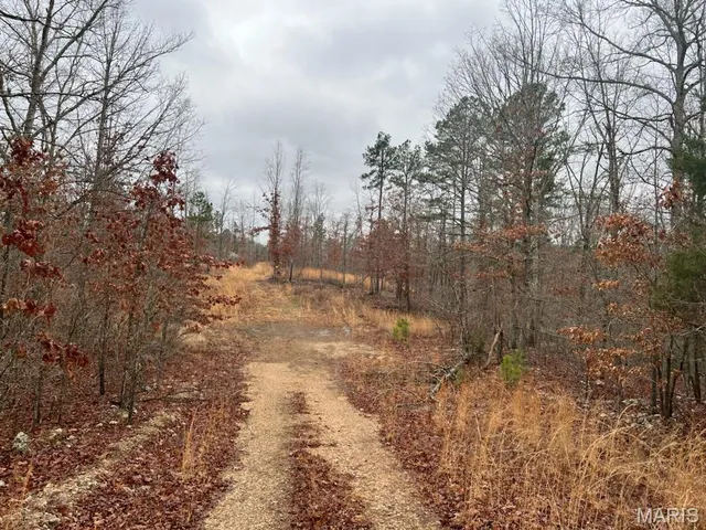 $65,000 | 0 Golden Trail, Raymondville, MO 65555