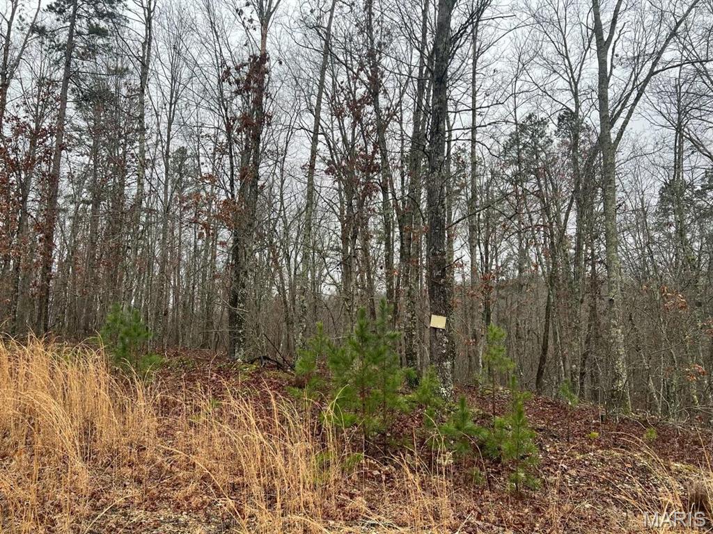 0 Golden Trail Raymondville, MO 65555 - Photo 2 of 5