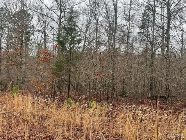 $65,000 | 0 Golden Trail, Raymondville, MO 65555