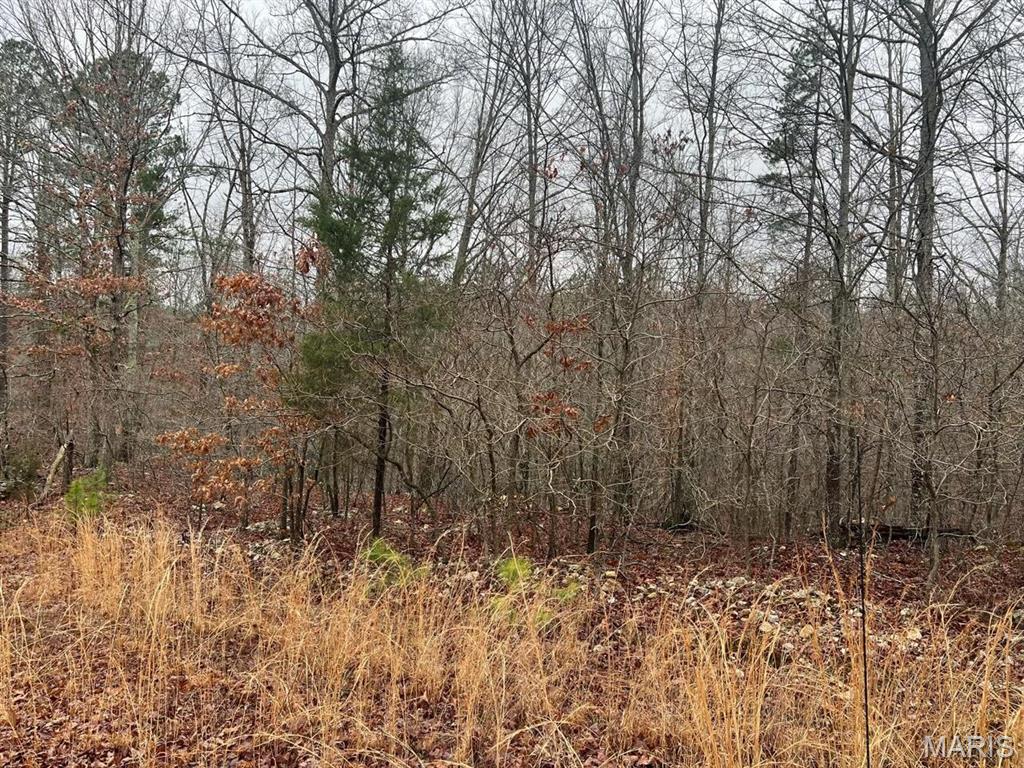 0 Golden Trail Raymondville, MO 65555 - Photo 3 of 5