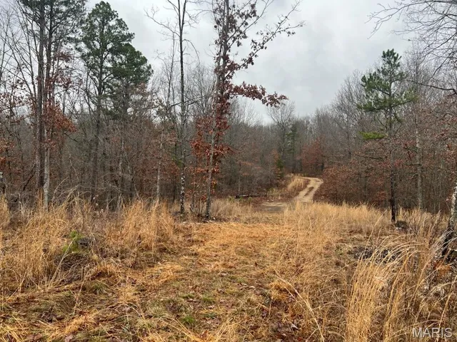 $65,000 | 0 Golden Trail, Raymondville, MO 65555