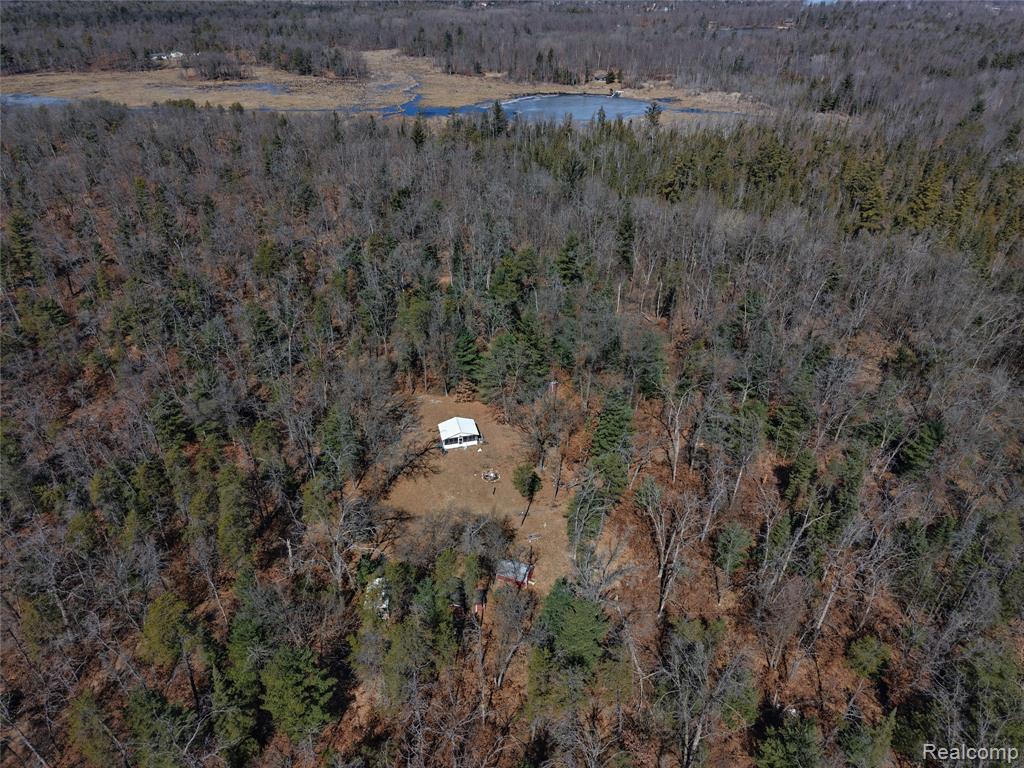3770 Bovee Lake Road Prescott, MI 48756 - Photo 5 of 11