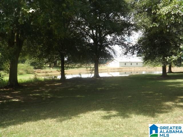435 Wow Road, Unit 59 Blountsville, AL 35031 - Photo 23 of 49