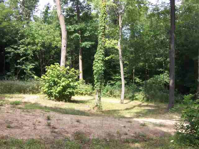 5525 East Bethel Road Stockton, IL 61085 - Photo 3 of 8 Gallery Image 3