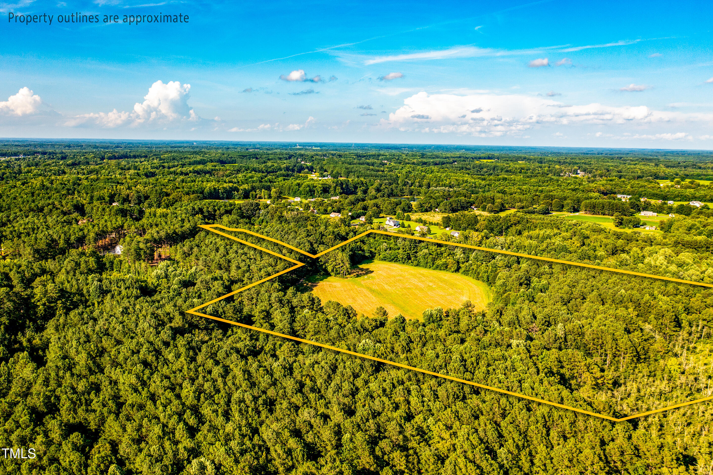 0 Henry Baker Road Zebulon, NC 27597 - Photo 4 of 8 3