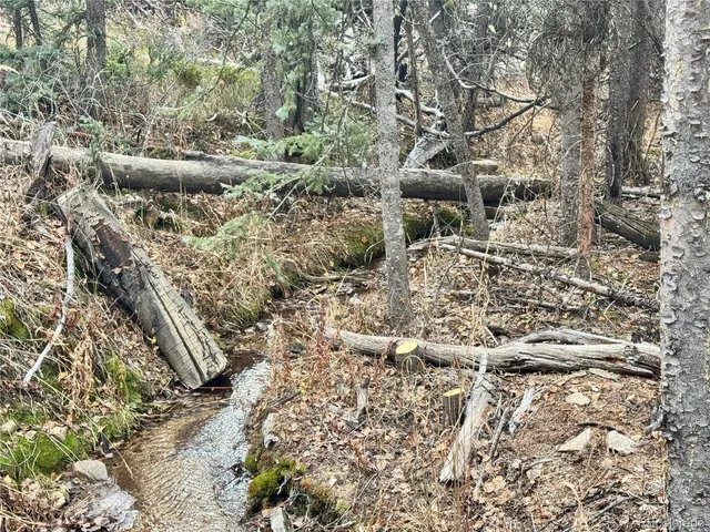 a view of a large yard with lots of plants and trees