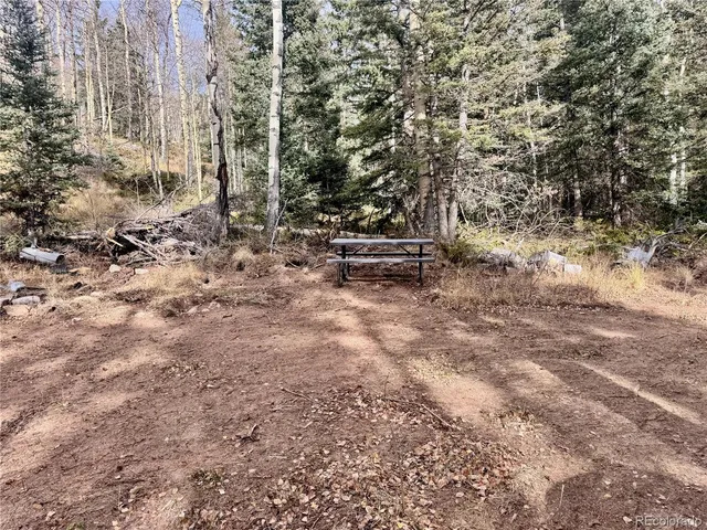 a view of a forest with a bench