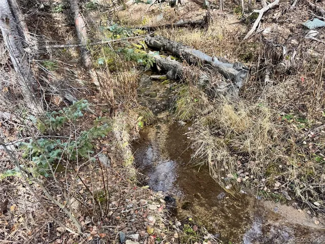 a view of a covered with large trees