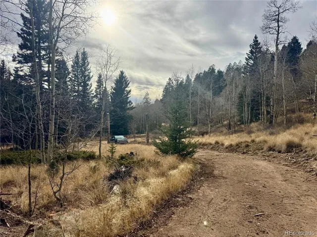 a view of a yard covered in snow