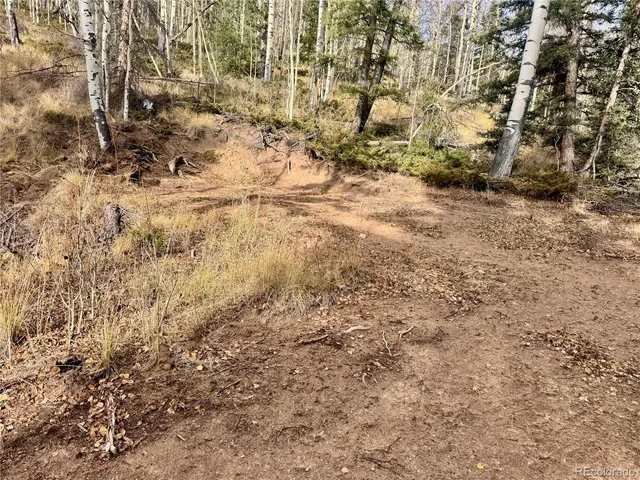 a view of a yard with trees