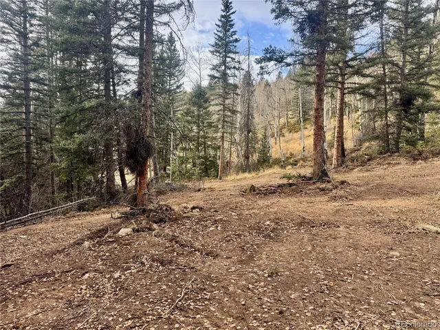 a view of house with trees all around