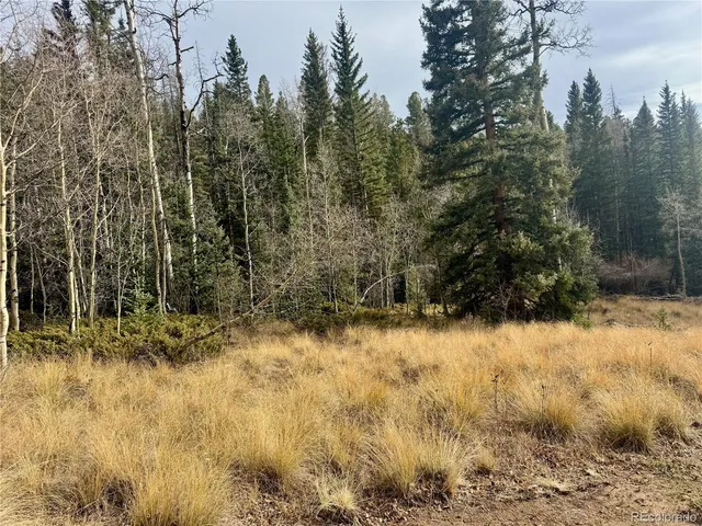 a view of a yard covered in snow