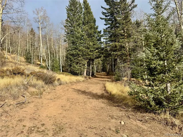 a view of a yard with trees