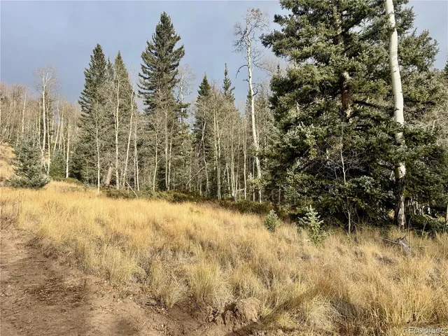 a view of a yard covered in snow