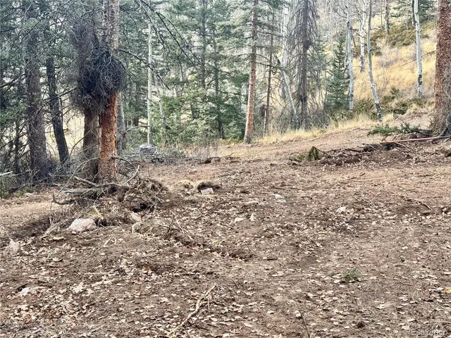 a view of backyard with green space