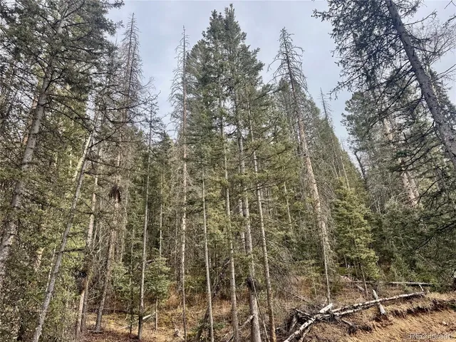 a close up of a plant