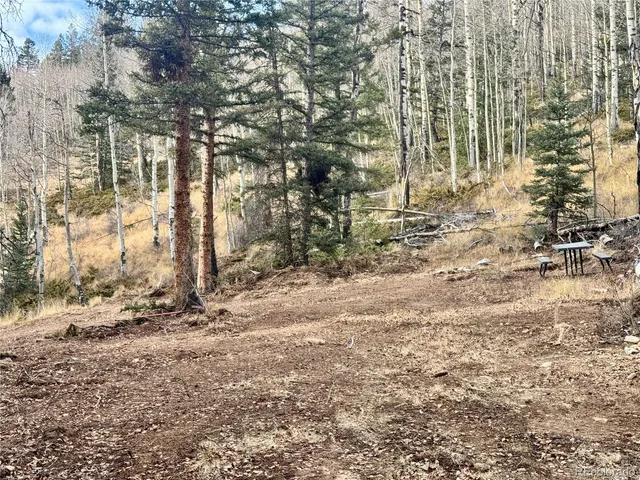 a view of a yard with trees