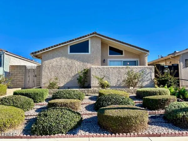 a view of a back yard of the house