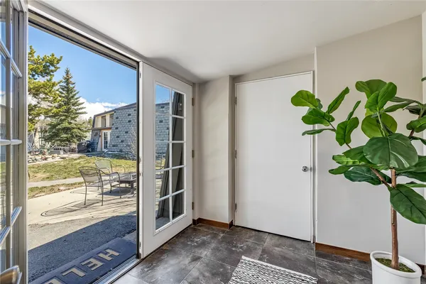a view of a glass door with a plant in front of it