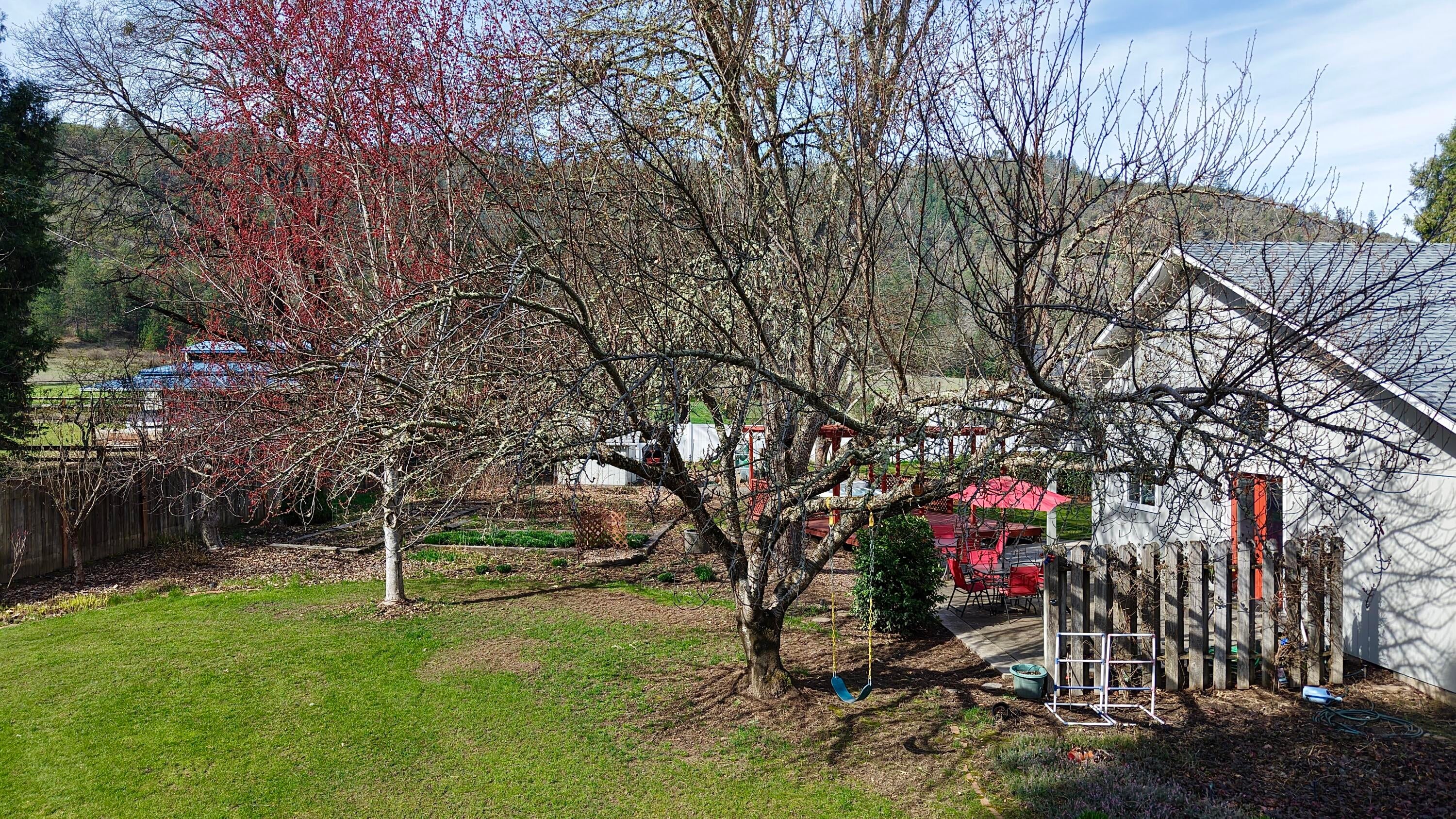 9401 Old Stage Road Central Point, OR 97502 - Photo 11 of 49 Yard