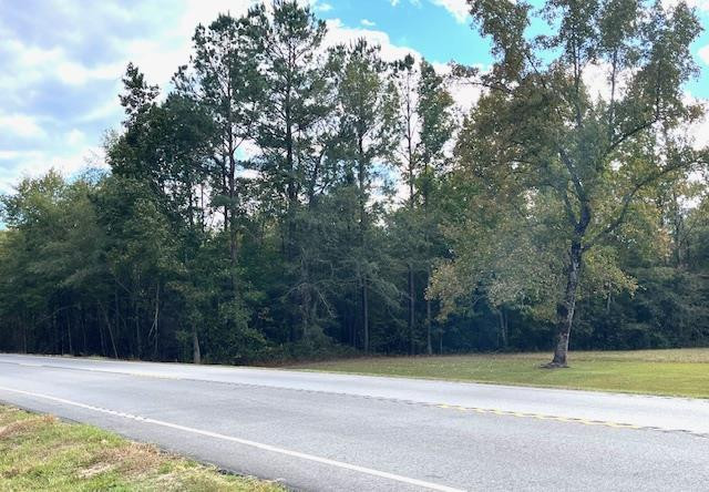 Tbd Bloomville Road Manning, SC 29102 - Photo 4 of 4