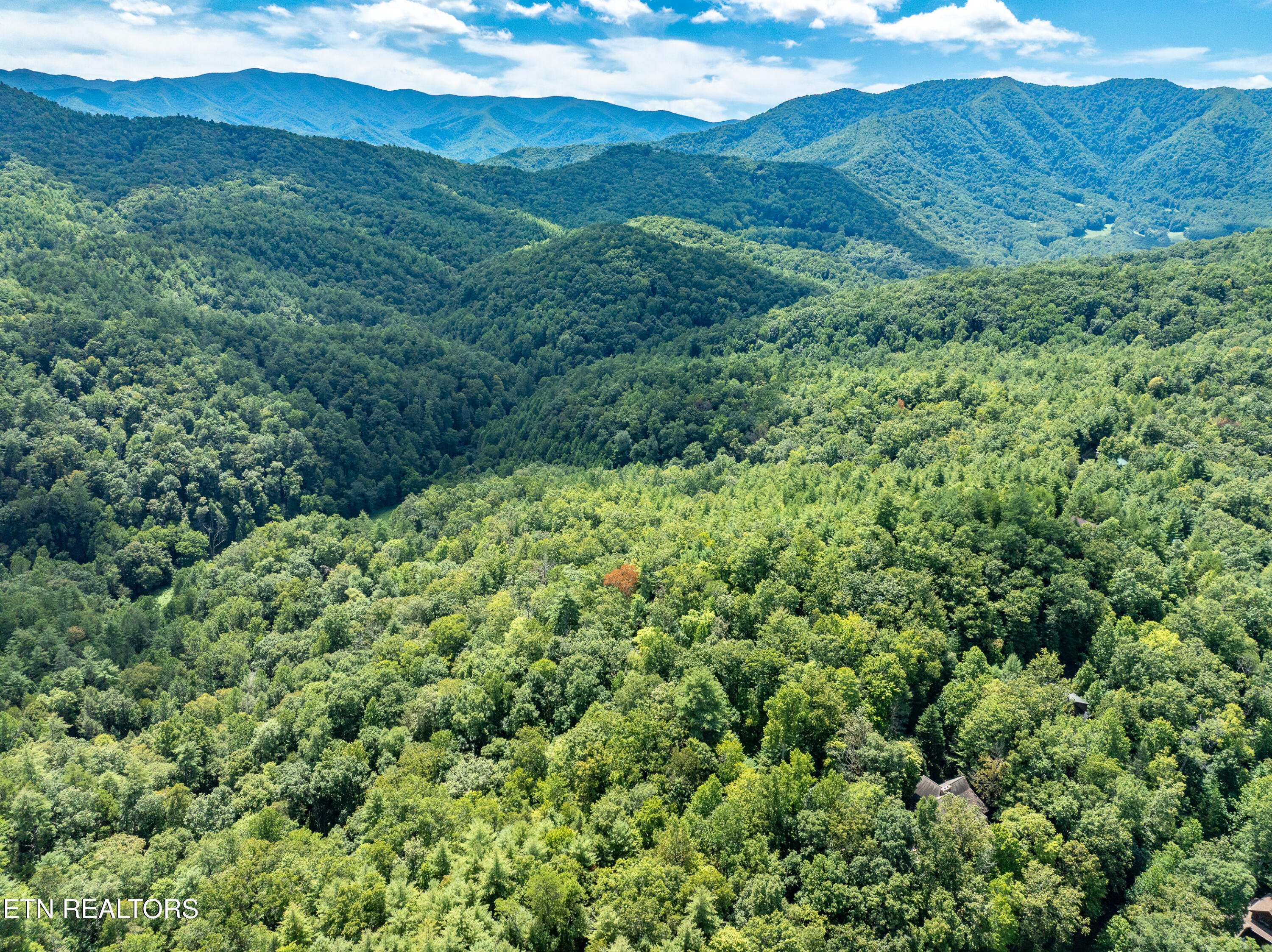 864 Stonegate Way Townsend, TN 37882 - Photo 2 of 10 Drone Shot
