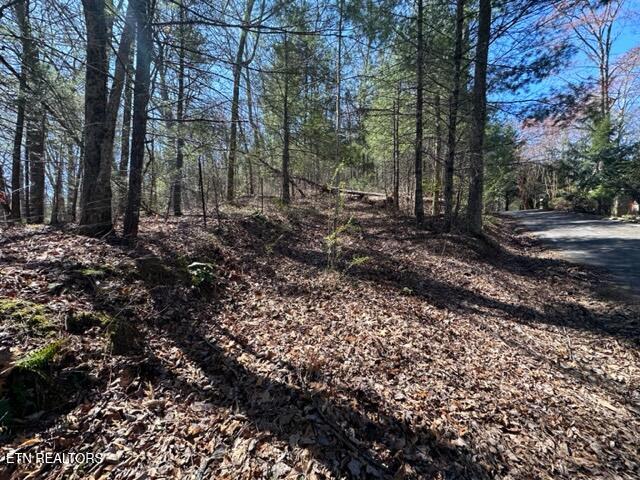 864 Stonegate Way Townsend, TN 37882 - Photo 5 of 10 Driveway