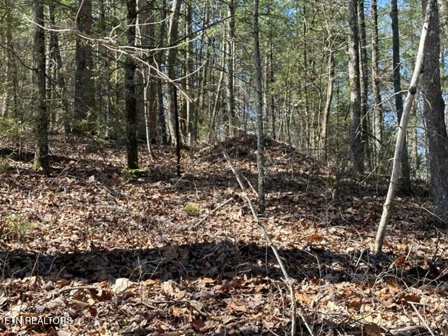 864 Stonegate Way Townsend, TN 37882 - Photo 6 of 10 Wooded