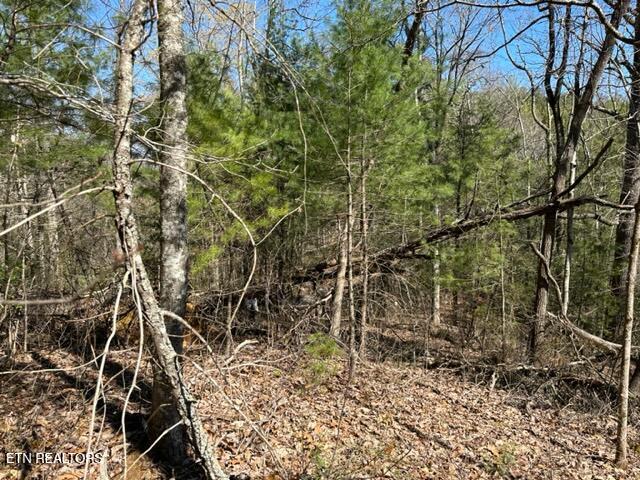 864 Stonegate Way Townsend, TN 37882 - Photo 7 of 10 Wooded