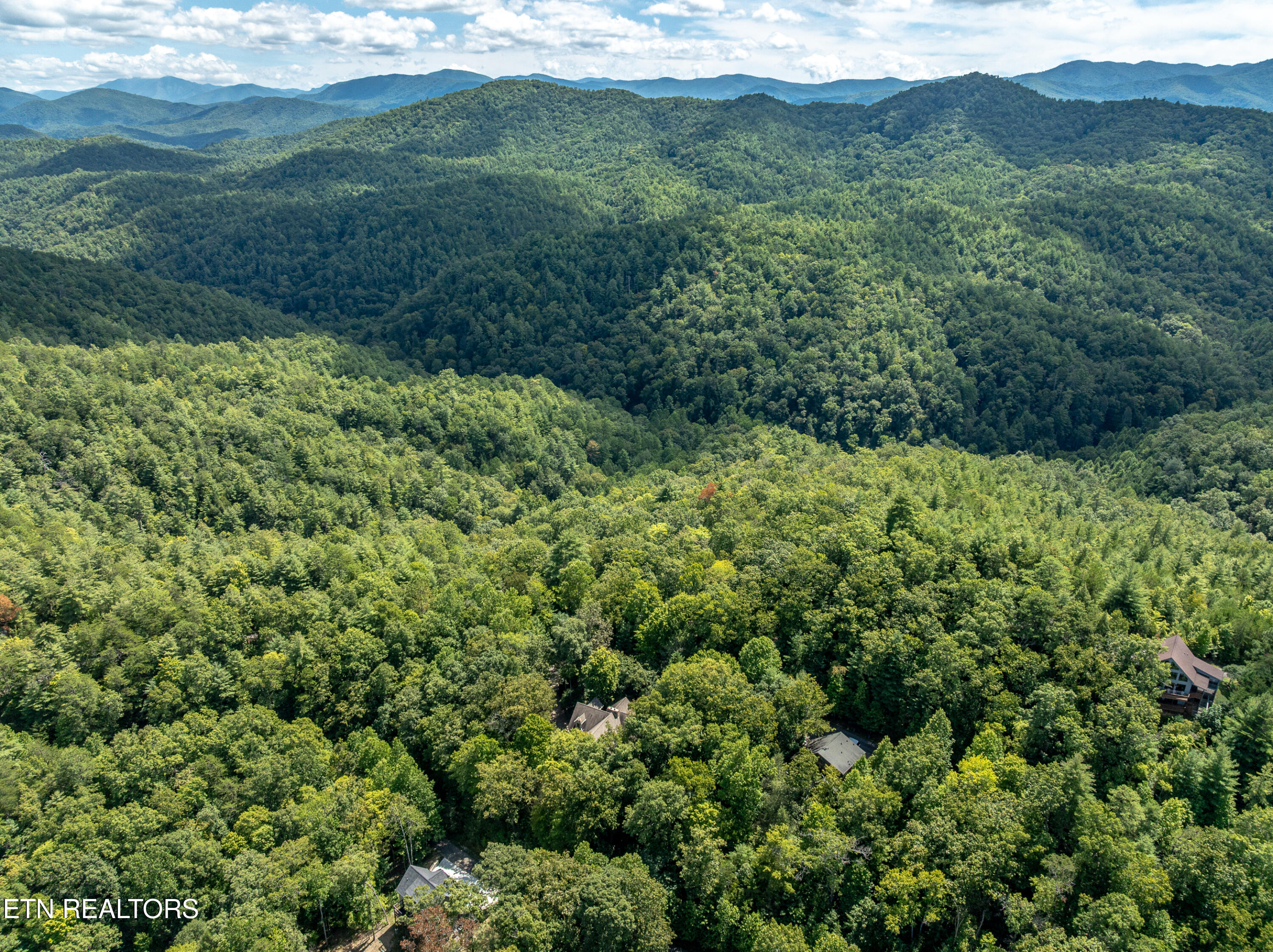 864 Stonegate Way Townsend, TN 37882 - Photo 8 of 10 Mountain View
