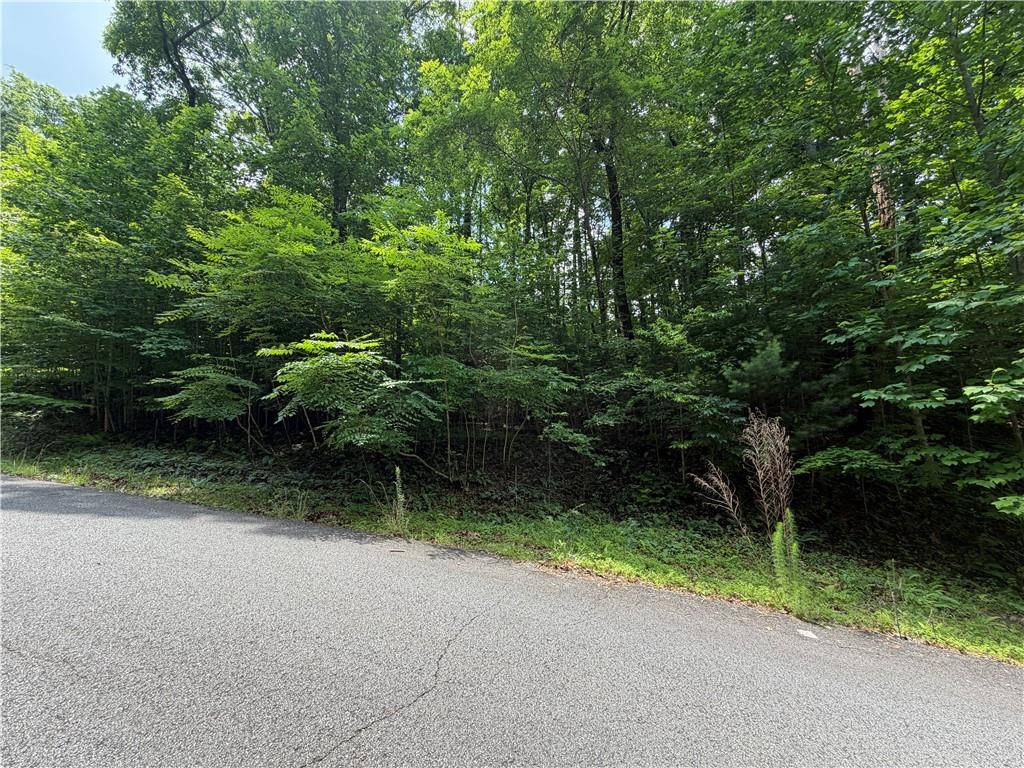 Lot 19 Mill Ridge Road Hiawassee, GA 30546 - Photo 4 of 5