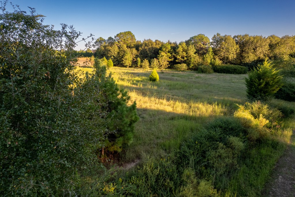 2226 Randall Wade Road Headland, AL 36345 - Photo 7 of 60
