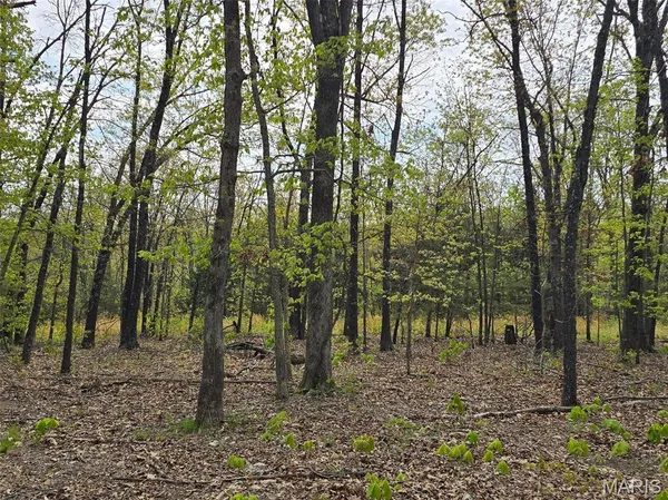 $85,000 | Tract Q Tract Q Galaxy Lane, Lebanon, MO 65536