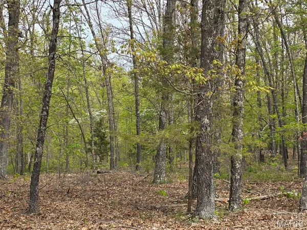 $85,000 | Tract Q Tract Q Galaxy Lane, Lebanon, MO 65536