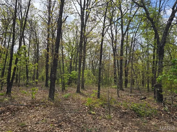 $85,000 | Tract Q Tract Q Galaxy Lane, Lebanon, MO 65536