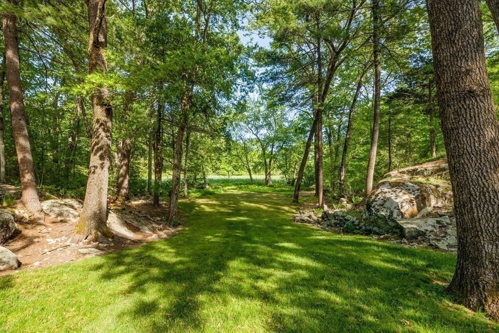 142 Ward Street Hingham, MA 02043 - Photo 39 of 41 a big yard with lots of green space and trees
