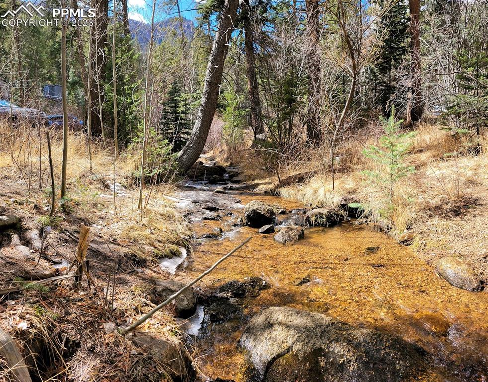 4440 Prairie Street Cascade, CO 80809 - Photo 29 of 31 a view of water covered with snow